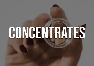 Concentrates Updated Sized